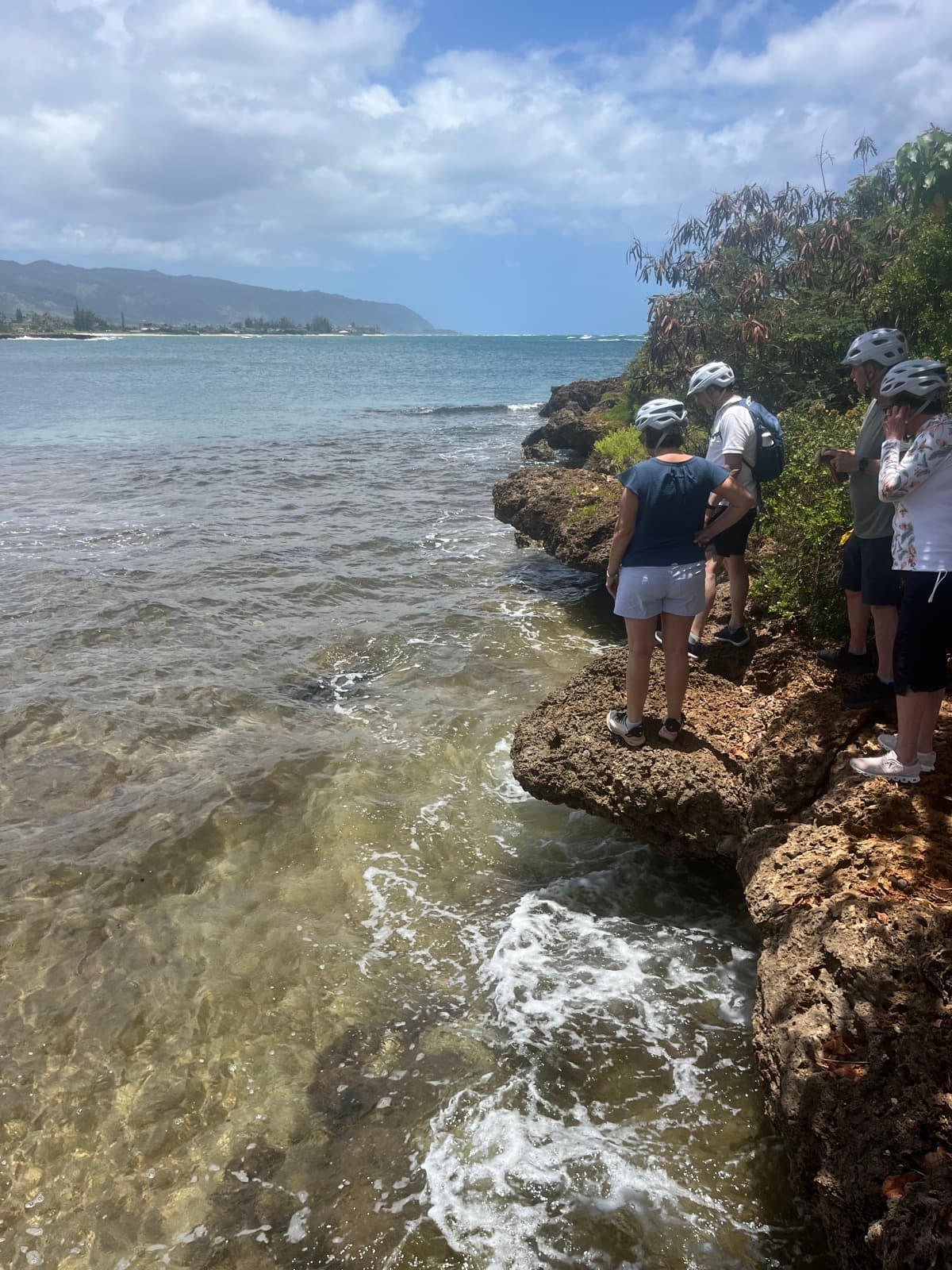 North Shore Surf Experience