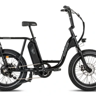 RadRunner 2 Utility Bike